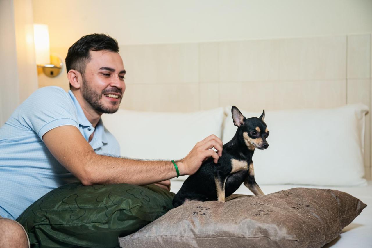 Отель Ibis Styles Belem Batista Campos Экстерьер фото
